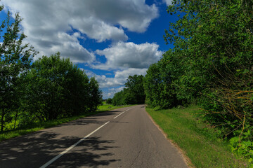 Road view on a summer day. Highways, roadside and white road line markings.