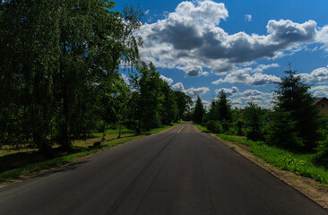 Fototapeta premium Road view on a summer day. Highways, roadside and white road line markings.