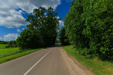Fototapeta premium Road view on a summer day. Highways, roadside and white road line markings.