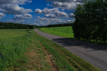 Road view on a summer day. Highways, roadside and white road line markings.	