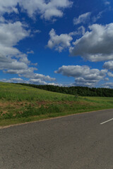 Fototapeta premium Road view on a summer day. Highways, roadside and white road line markings. 