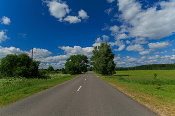 Road view on a summer day. Highways, roadside and white road line markings.