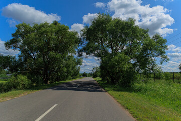 Fototapeta premium Road view on a summer day. Highways, roadside and white road line markings.