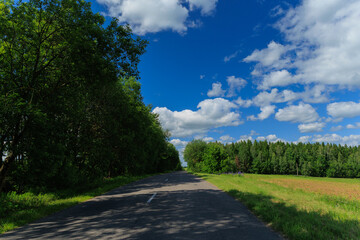 Road view on a summer day. Highways, roadside and white road line markings.