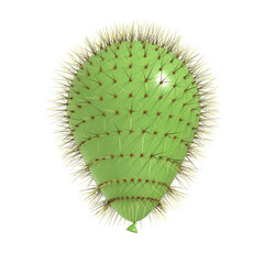 Green balloon covered with cactus prickles on white background