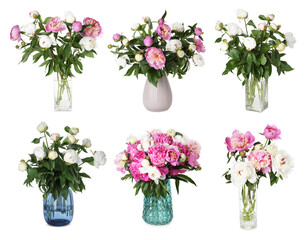 Peony bouquets in vases isolated on white, set
