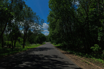 Obraz premium Road view on a summer day. Highways, roadside and white road line markings.