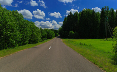 Fototapeta premium Road view on a summer day. Highways and roadside, white road line markings.