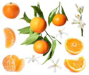 Tangerine, fruits, leaves and flowers on white background, set