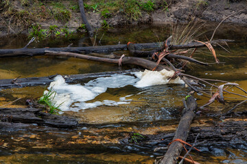 Photograph of foam buildup around dead wood in the Capertee River in the Capertee Valley after major flood damage in the Wollemi National Park in NSW, Australia.