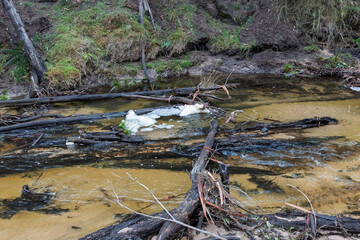 Photograph of foam buildup around dead wood in the Capertee River in the Capertee Valley after major flood damage in the Wollemi National Park in NSW, Australia.