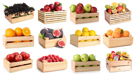 Different fresh fruits in wooden crates isolated on white, set