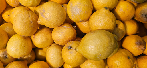 Ripe yellow lemons with natural textures and slight imperfections form a colorful, fresh citrus background. Close-up, vibrant and organic. lemons, citrus;