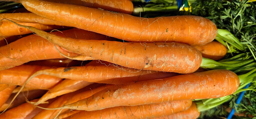 Fresh orange carrots with green tops lie in a pile, showing natural texture and slight traces of soil. Perfect for food, farm, or health concepts. carrots, vegetables;