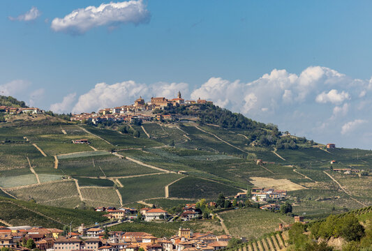 Langhe vineyards near Barolo and La Morra, Unesco Site, Piedmont, Italy
