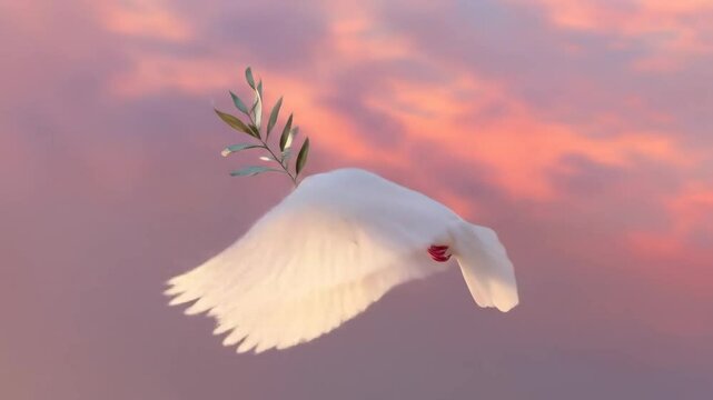 White dove flying with an olive branch in a cloudy sky for peace and hope concept background.