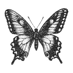 Butterfly with halftone stipple effect, for grunge punk y2k collage design. Vector illustration in grainy photocopy texture for experimental dotted retro banner design.