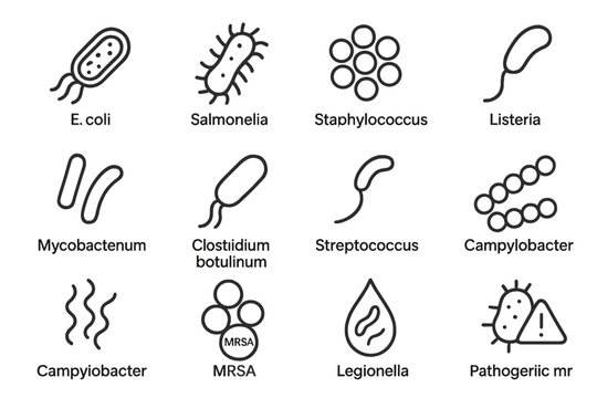 Bacteria icons: e. coli, salmonella, staphylococcus, listeria, legionella, mrsa