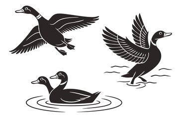 Collection of stylized black duck icons in various poses standing flying and swimming
