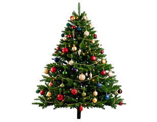 PNG Christmas tree branches christmas backgrounds holiday 
