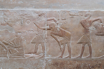 ancient egyptian hieroglyphics