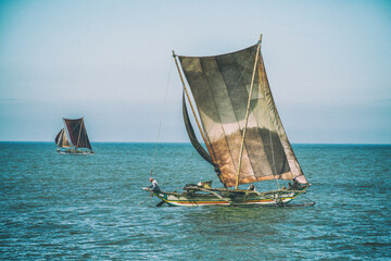 Traditional fishing boats under sail, Negombo, Sri Lanka, Asia