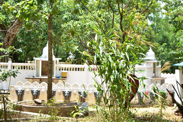 Sri Bhodiraja Aranya Senasanaya, Hiriwadunna, Habarana, Sri Lanka.