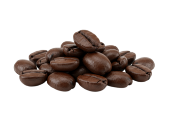 A small pile of dark roasted coffee beans with an oily sheen, one elevated, on a transparent background in a shadowless macro studio shot, capturing exquisite detail and crisp contours. Concept for
