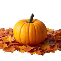 Bright orange pumpkin resting on colorful autumn maple leaves isolated on transparent background