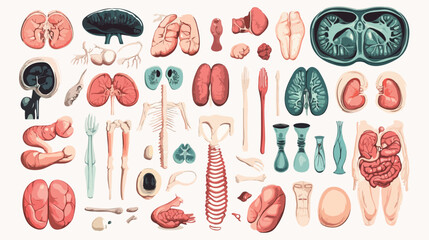 Flat Vector Bundle of Body Parts and Organs Icons for Medical Illustration