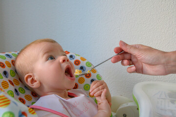 baby girl in a baby chair being fed with a spoon. baby's first feeding. baby feeding close-up