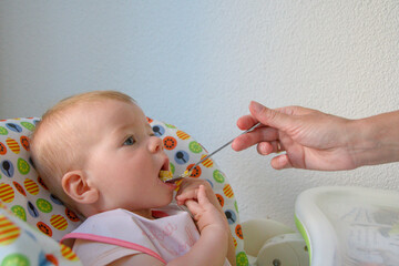 baby girl in a baby chair being fed with a spoon. baby's first feeding. baby feeding close-up