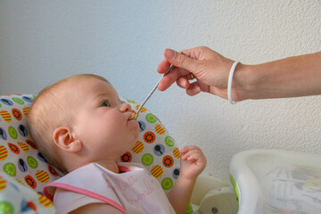 baby girl in a baby chair being fed with a spoon. baby's first feeding. baby feeding close-up