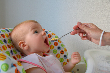 baby girl in a baby chair being fed with a spoon. baby's first feeding. baby feeding close-up