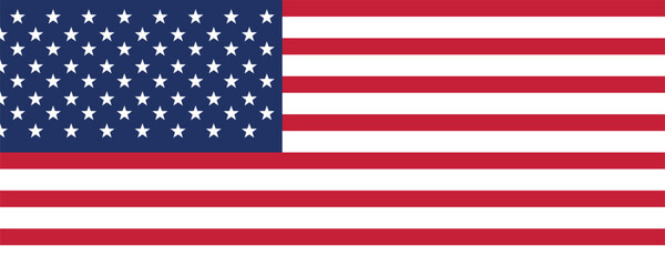 American flag USA design. united states flag. Rendered USA flag. the USA national flag