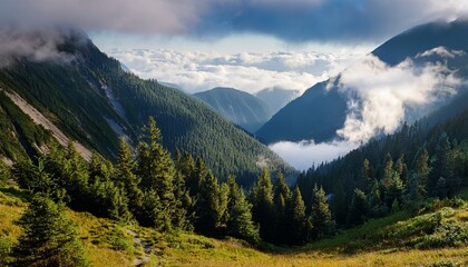 Fototapeta premium mountainous terrain with low clouds and forest