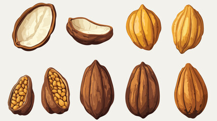 Cacao Sketch Design Flat Vector Illustration