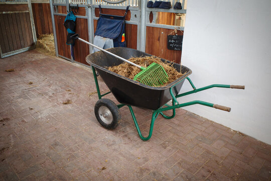 Horse manure is disposed of with a wheelbarrow