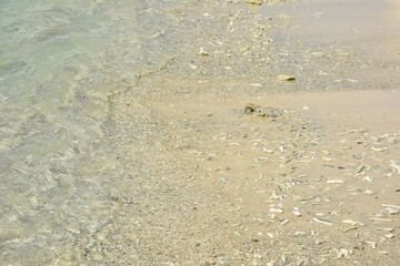 Pigeon Island National Park, Trincomalee, Sri Lanka.