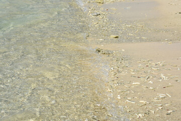 Pigeon Island National Park, Trincomalee, Sri Lanka.