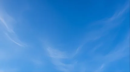 Bottom view straight up at vast deep blue sky with thin wispy cirrus clouds © Katerina