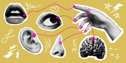 pop art collage of human senses, lip eye ear nose brain and hand. Perfect for educational, artistic, and surreal concept-based visual design projects.