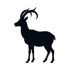 Obraz premium Black silhouette of a goat or antelope with curved horns in side profile 