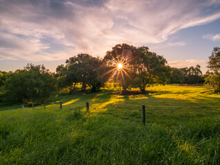 sunset in the countryside
