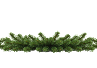 Vibrant green artificial pine or fir tree branches with sharp needles and intricate textures, meticulously arranged as a festive top border on a transparent background, product visualization for