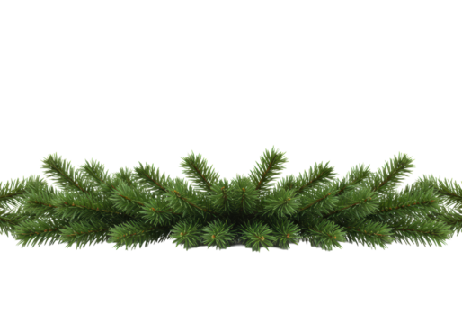 Vibrant green artificial pine or fir tree branches with sharp needles and intricate textures, meticulously arranged as a festive top border on a transparent background, product visualization for