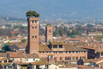 Torre Guinigi with rooftop trees and Palazzo Orsetti seen from above, Lucca, Italy, historic...
