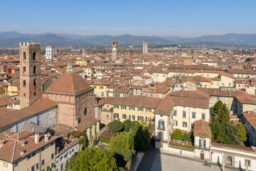 Panoramic view of Lucca from San Martino bell tower, Italy, featuring Torre Guinigi, Torre delle...