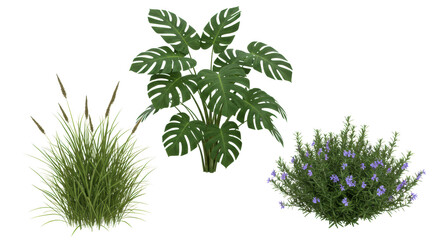 Isolated collection of ultra-realistic green plants: a large Monstera deliciosa, two ornamental grasses, and a rosemary bush with purple flowers, all meticulously detailed on a transparent