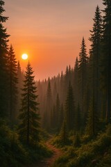 Sunrise in the mountains.